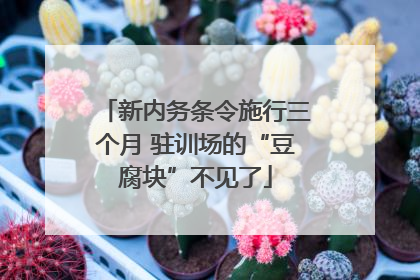 新内务条令施行三个月 驻训场的“豆腐块”不见了