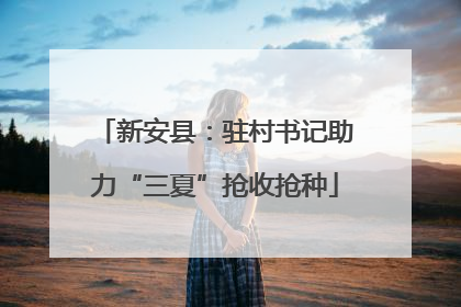 新安县：驻村书记助力“三夏”抢收抢种