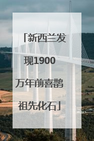 新西兰发现1900万年前喜鹊祖先化石
