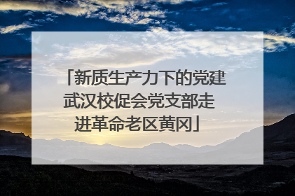 新质生产力下的党建 武汉校促会党支部走进革命老区黄冈