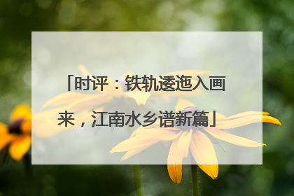 时评：铁轨逶迤入画来，江南水乡谱新篇