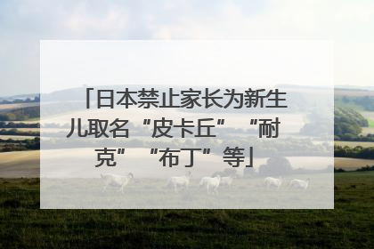 日本禁止家长为新生儿取名“皮卡丘”“耐克”“布丁”等