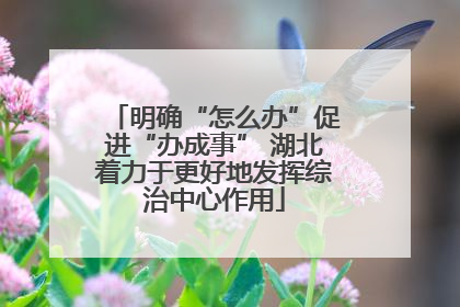 明确“怎么办”促进“办成事” 湖北着力于更好地发挥综治中心作用