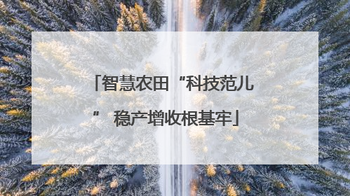 智慧农田“科技范儿” 稳产增收根基牢