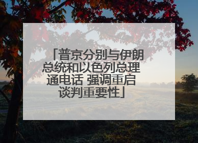 普京分别与伊朗总统和以色列总理通电话 强调重启谈判重要性