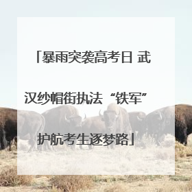 暴雨突袭高考日 武汉纱帽街执法“铁军”护航考生逐梦路