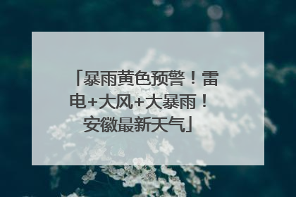 暴雨黄色预警！雷电+大风+大暴雨！安徽最新天气