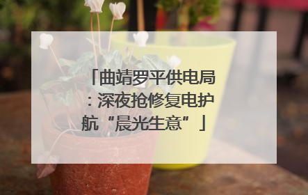 曲靖罗平供电局：深夜抢修复电护航“晨光生意”