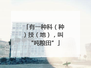 有一种科（种）技（地），叫“吨粮田”