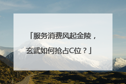 服务消费风起金陵，玄武如何抢占C位？