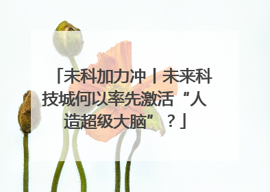 未科加力冲丨未来科技城何以率先激活“人造超级大脑”？