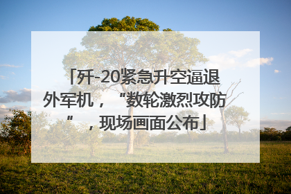 歼-20紧急升空逼退外军机，“数轮激烈攻防”，现场画面公布
