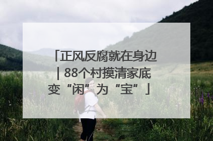 正风反腐就在身边｜88个村摸清家底变“闲”为“宝”