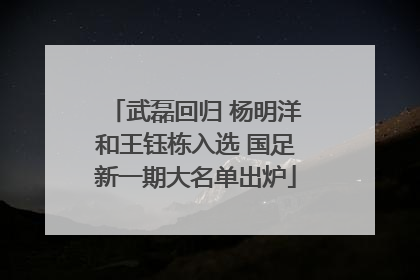 武磊回归 杨明洋和王钰栋入选 国足新一期大名单出炉