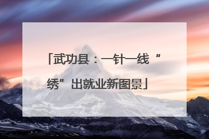武功县：一针一线“绣”出就业新图景