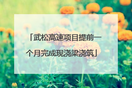 武松高速项目提前一个月完成现浇梁浇筑