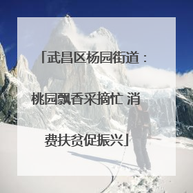 武昌区杨园街道：桃园飘香采摘忙 消费扶贫促振兴