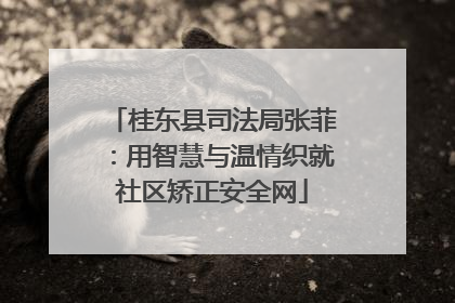 桂东县司法局张菲：用智慧与温情织就社区矫正安全网