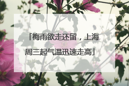 梅雨欲走还留，上海周三起气温迅速走高