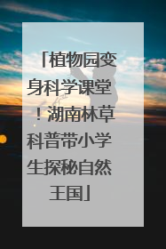 植物园变身科学课堂！湖南林草科普带小学生探秘自然王国