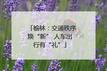 榆林：交通秩序焕“新” 人车出行有“礼”