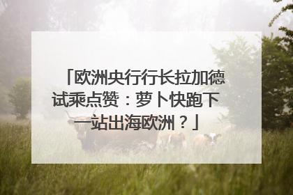 欧洲央行行长拉加德试乘点赞：萝卜快跑下一站出海欧洲？