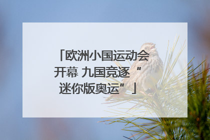欧洲小国运动会开幕 九国竞逐“迷你版奥运”