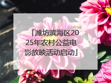 潍坊滨海区2025年农村公益电影放映活动启动