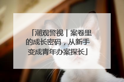 潮观警视｜案卷里的成长密码，从新手变成青年办案探长