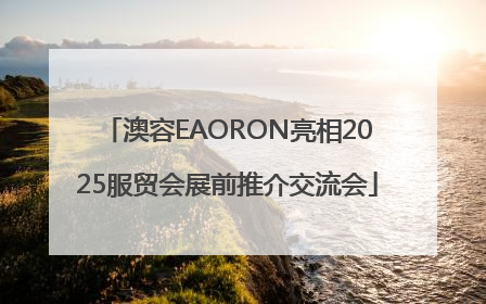 澳容EAORON亮相2025服贸会展前推介交流会