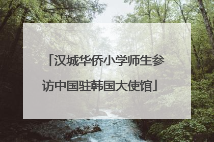 汉城华侨小学师生参访中国驻韩国大使馆