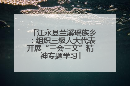 江永县兰溪瑶族乡：组织三级人大代表开展“三会三文”精神专题学习