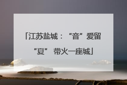 江苏盐城：“音”爱留“夏” 带火一座城