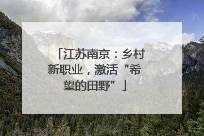 江苏南京：乡村新职业，激活“希望的田野”