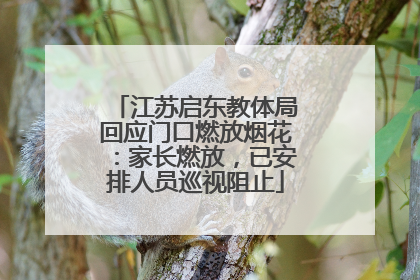 江苏启东教体局回应门口燃放烟花：家长燃放，已安排人员巡视阻止