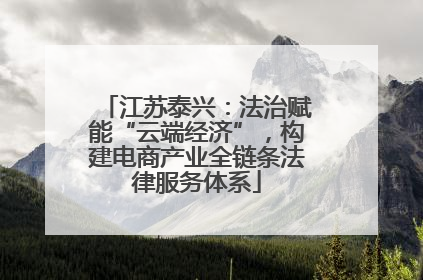 江苏泰兴：法治赋能“云端经济”，构建电商产业全链条法律服务体系