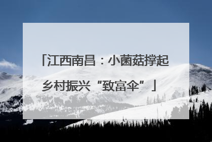江西南昌：小菌菇撑起乡村振兴“致富伞”