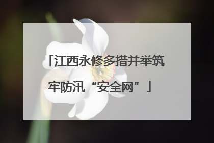 江西永修多措并举筑牢防汛“安全网”