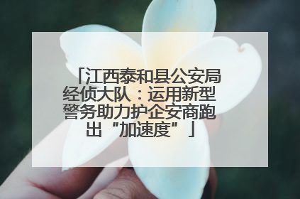 江西泰和县公安局经侦大队：运用新型警务助力护企安商跑出“加速度”