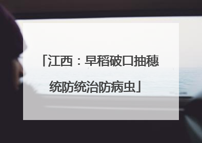 江西：早稻破口抽穗 统防统治防病虫