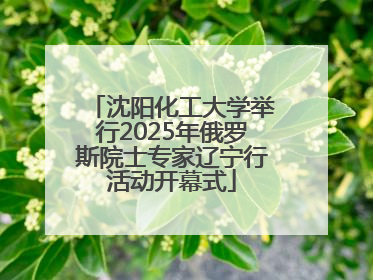 沈阳化工大学举行2025年俄罗斯院士专家辽宁行活动开幕式