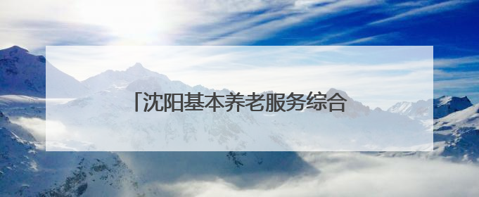 沈阳基本养老服务综合平台“盛情康养”上线