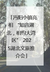 沔阳小镇亮相 “知音湖北，相约大湾区” 2025湖北文旅推介会