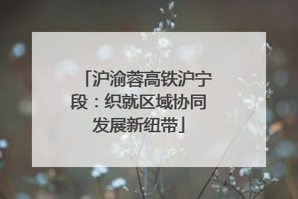 沪渝蓉高铁沪宁段：织就区域协同发展新纽带