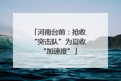 河南台前：抢收“突击队”为夏收“加速度”
