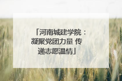 河南城建学院：凝聚党团力量 传递志愿温情