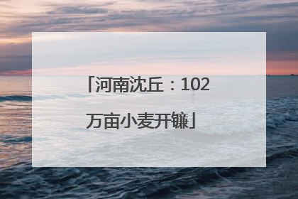 河南沈丘：102 万亩小麦开镰