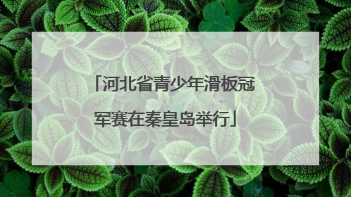 河北省青少年滑板冠军赛在秦皇岛举行