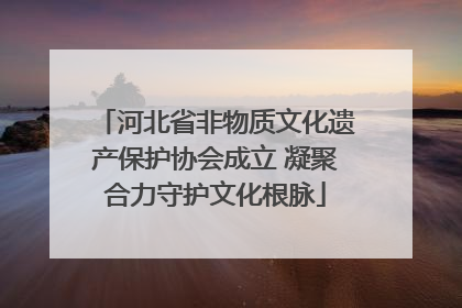 河北省非物质文化遗产保护协会成立 凝聚合力守护文化根脉