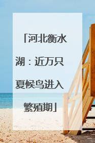 河北衡水湖：近万只夏候鸟进入繁殖期